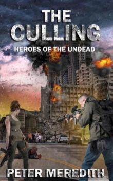 Heroes of the Undead | Book 1 | The Culling