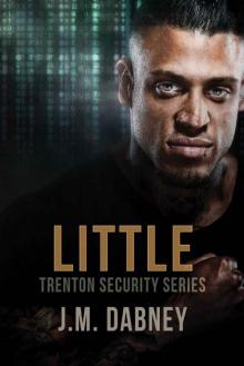 Little (Trenton Security Book 2)