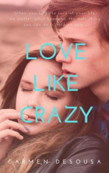 Love Like Crazy (Crazy Love Book 1)