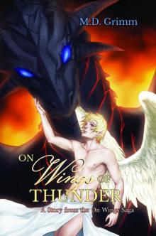 On Wings of Thunder (On Wings Saga 1)