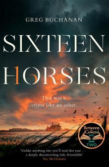 Sixteen Horses