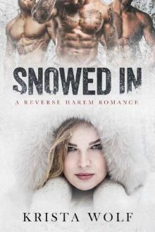 Snowed In - A Reverse Harem Romance