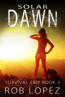 Survival EMP (Book 3): Solar Dawn