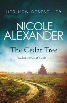 The Cedar Tree