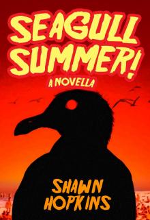 Seagull Summer: A Novella
