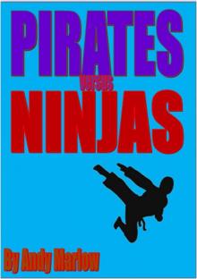 Pirates Versus Ninjas