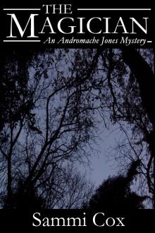 The Magician - An Andromache Jones Mystery