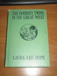 The Bobbsey Twins in the Great West