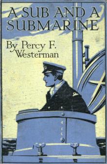 A Sub and a Submarine: The Story of H.M. Submarine R19 in the Great War