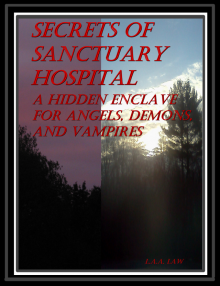 Secrets Of Sanctuary Hospital A Hidden Enclave For Angels, Demons, And Vampires