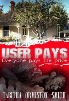 User Pays
