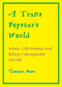 A Trans Popstar's World: When Life Dreams and Being Transgender Collide: A Novel