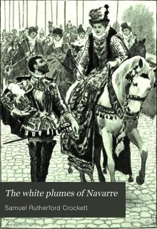 The White Plumes of Navarre: A Romance of the Wars of Religion