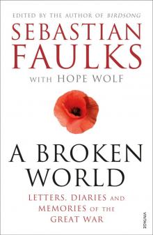 A Broken World: Letters, Diaries and Memories of the Great War