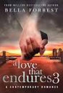 A Love that Endures 3