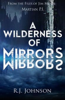 A Wilderness of Mirrors