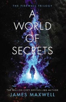 A World of Secrets (The Firewall Trilogy)