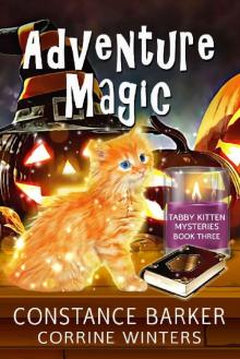 Adventure Magic (Tabby Kitten Mystery Book 3)