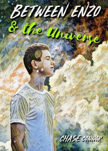 Between Enzo and the Universe