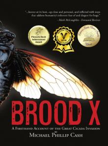 Brood X: A Firsthand Account of the Great Cicada Invasion