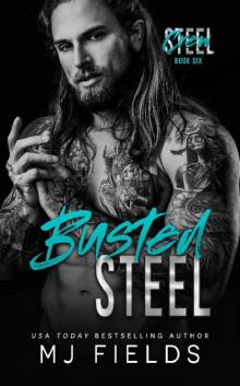 Busted Steel: An Age Gap Stand Alone Romance (Steel Crew Book 6)