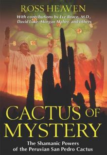 Cactus of Mystery