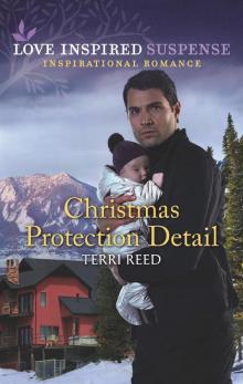 Christmas Protection Detail