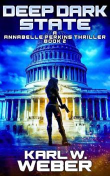 Deep Dark State: A Annabelle Perkins Thriller: Book 2 (Annabelle Perkins Saga)