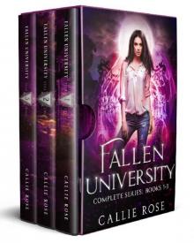 Fallen University Complete Series