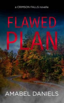 Flawed Plan (A Crimson Falls Novella)