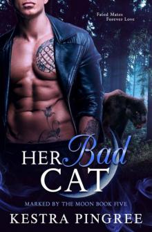 Her Bad Cat (Marked By The Moon Book 5)