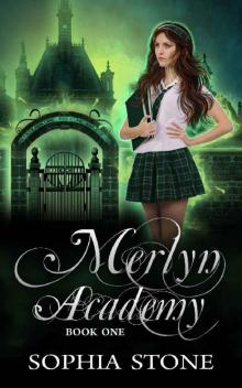 Merlyn Academy: Book One