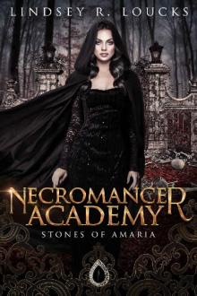 Necromancer Academy: Book 1