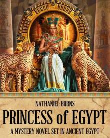 Princess of Egypt (The Mummifier's Daughter) (Volume 2)