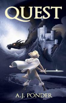 Quest: Book 1 of the The Sylvalla Chronicles by F Fraderghast