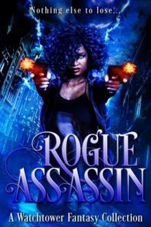 Rogue Assassin