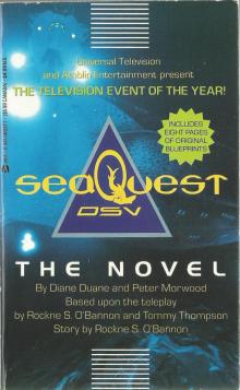 Seaquest DSV