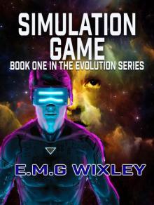 Simulation Game