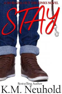 Stay (Working Out The Kinks Book 1)