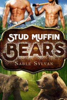 Stud Muffin Bears (Freshly Baked Furry Tails Book 1)