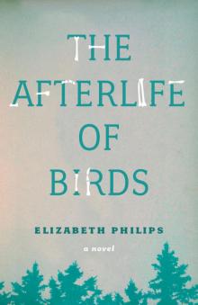 The Afterlife of Birds