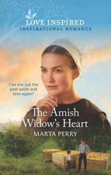 The Amish Widow's Heart (Brides 0f Lost Creek Book 4)