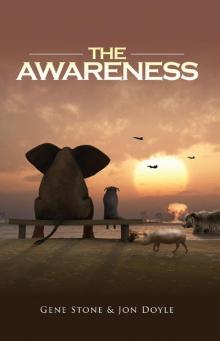 The Awareness