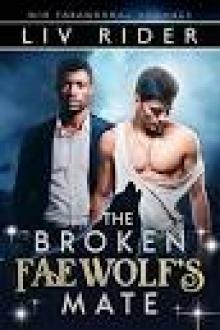 The Broken Faewolf's Mate (BlackEdge Pack Book 2)