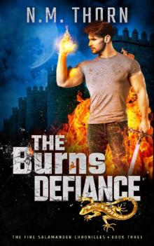 The Burns Defiance