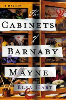 The Cabinets of Barnaby Mayne