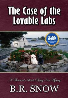 The Case of the Lovable Labs