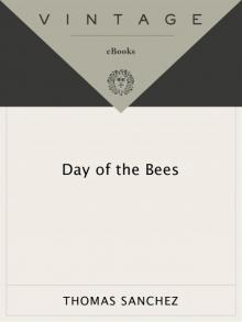 The Day of the Bees