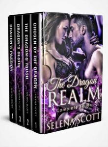 The Dragon Realm Complete Series Bks 1-4