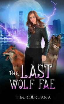 The Last Wolf Fae (A Wolf Fae Saga Book 1)